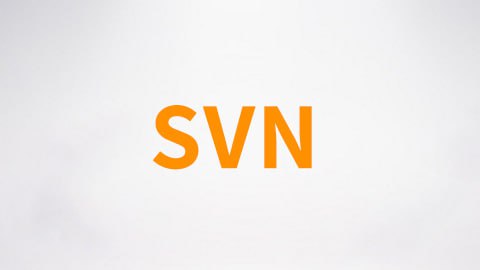 【尚硅谷】SVN视频 - 带源码课件