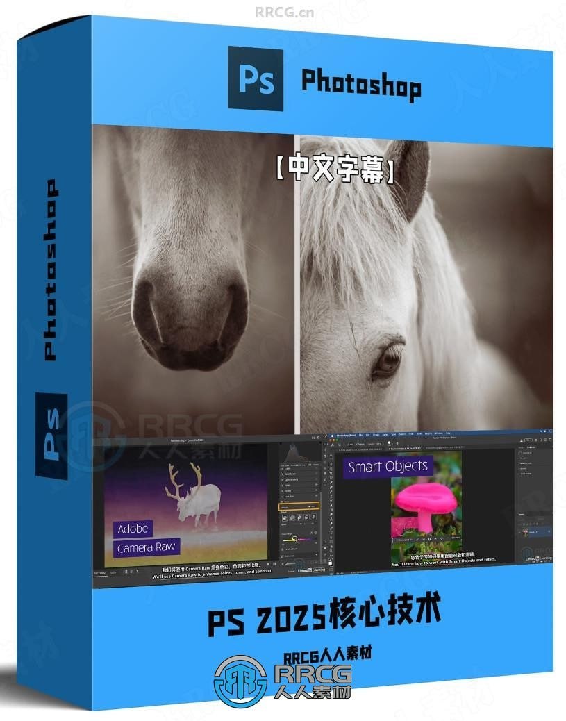 Photoshop2025全面核心技术训练教程【中文字幕】插图 Photoshop2025全面核心技术训练教程【中文字幕】